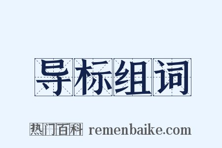 导标组词是什么意思的图片